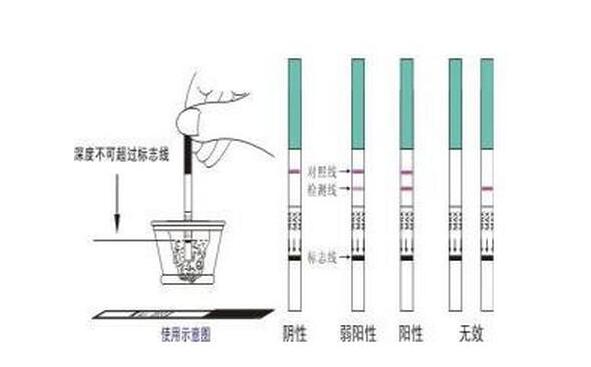 多长时间能查出怀孕月经推迟10天没来了