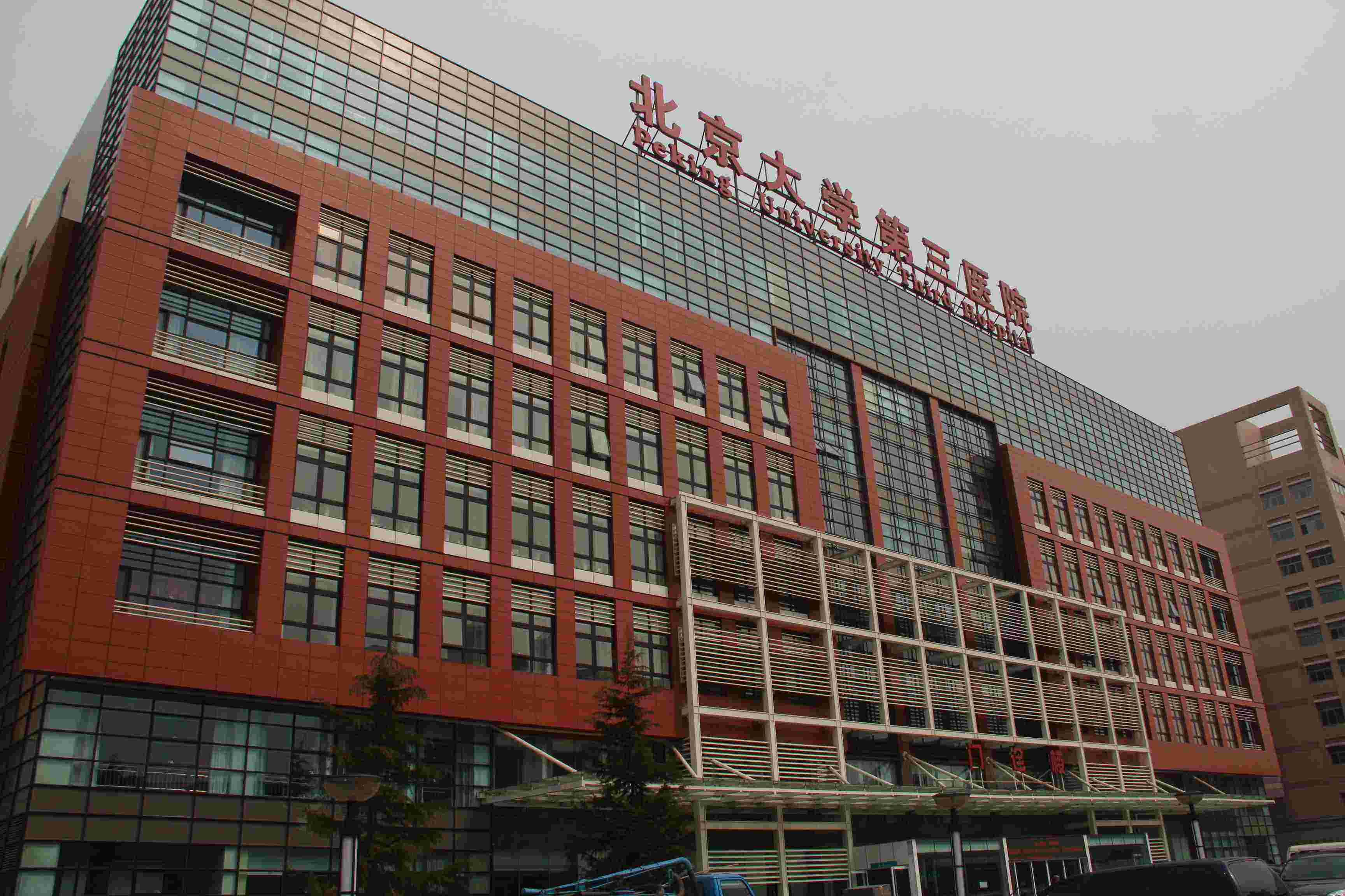 包含北京大学人民医院特色医疗黄牛号贩子代挂的词条