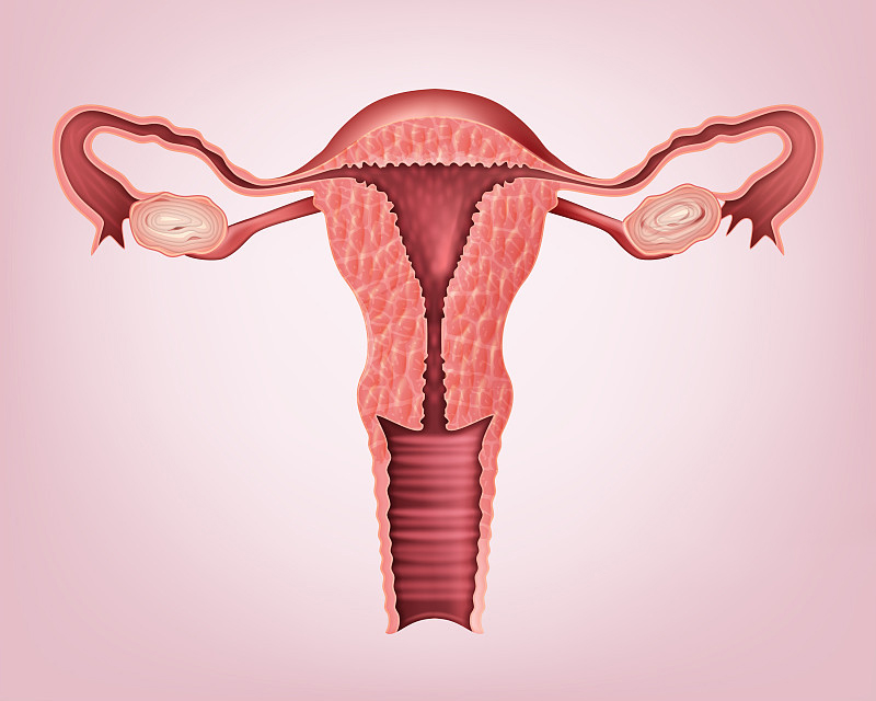 子宫内膜卵巢切除还用切除输卵管?