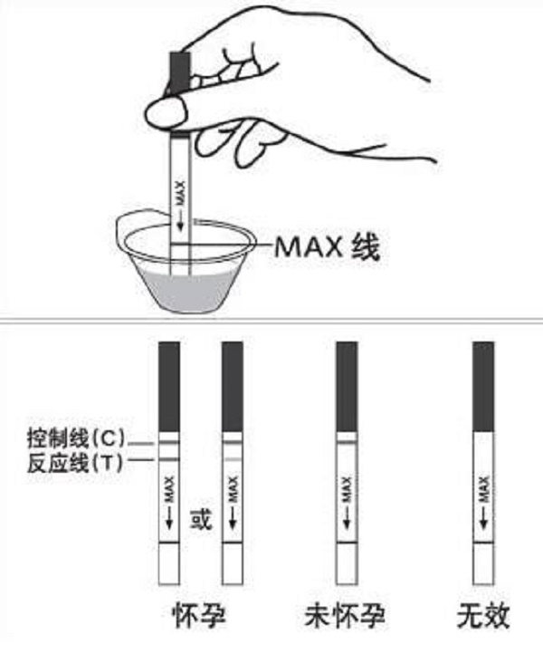 验孕纸怎么看 怀孕图片