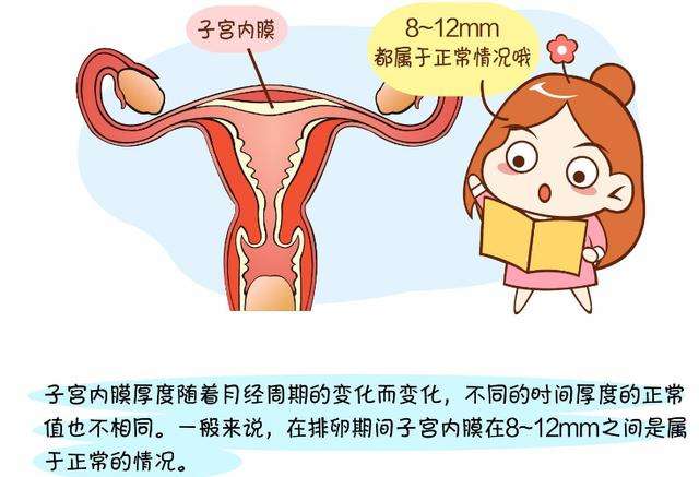 补乐佳可以促进子宫内膜的增长.jpg