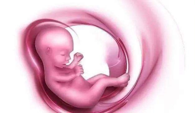 孕34周胎儿在宫内图片图片