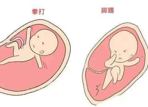 孕32周胎儿头位图片图片