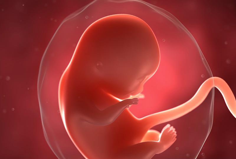 怀孕21周胎儿图图片