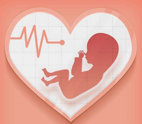 孕12周可以听胎心音
