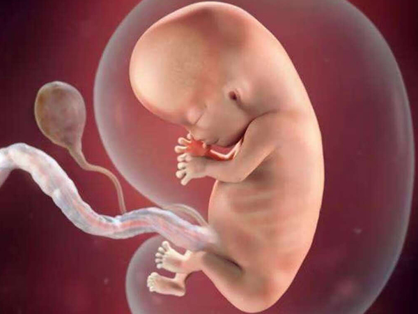 孕13周双顶径尺寸多少以上生男孩的几率