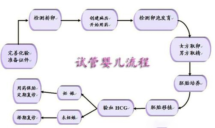 做试管婴儿是什么样的流程(做试管婴儿是什么样的流程呢)-第2张图片-鲸幼网