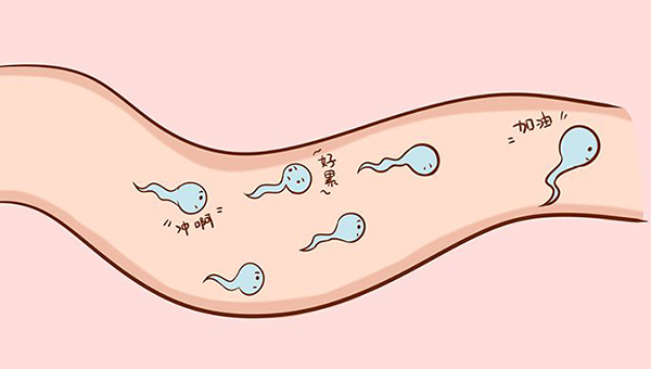 怎么判断精子完全液化图片